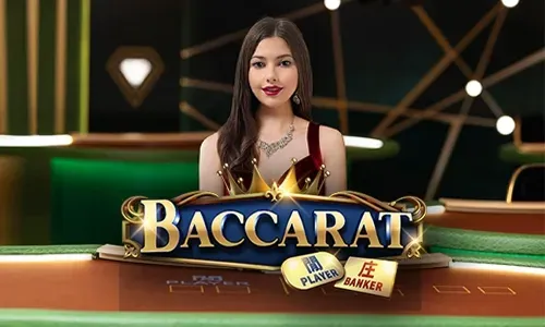 24/7 Customer Support