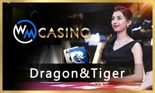 Guide to Jili Slot Games
